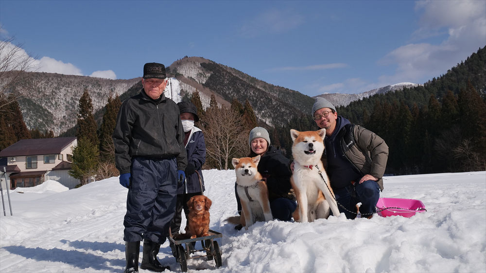 写真：CNAドキュメント15　シリーズ「イダマシ～残したい秋田の心～」人と犬がいなくなる街で ～Aターン夫婦の秋田犬物語～